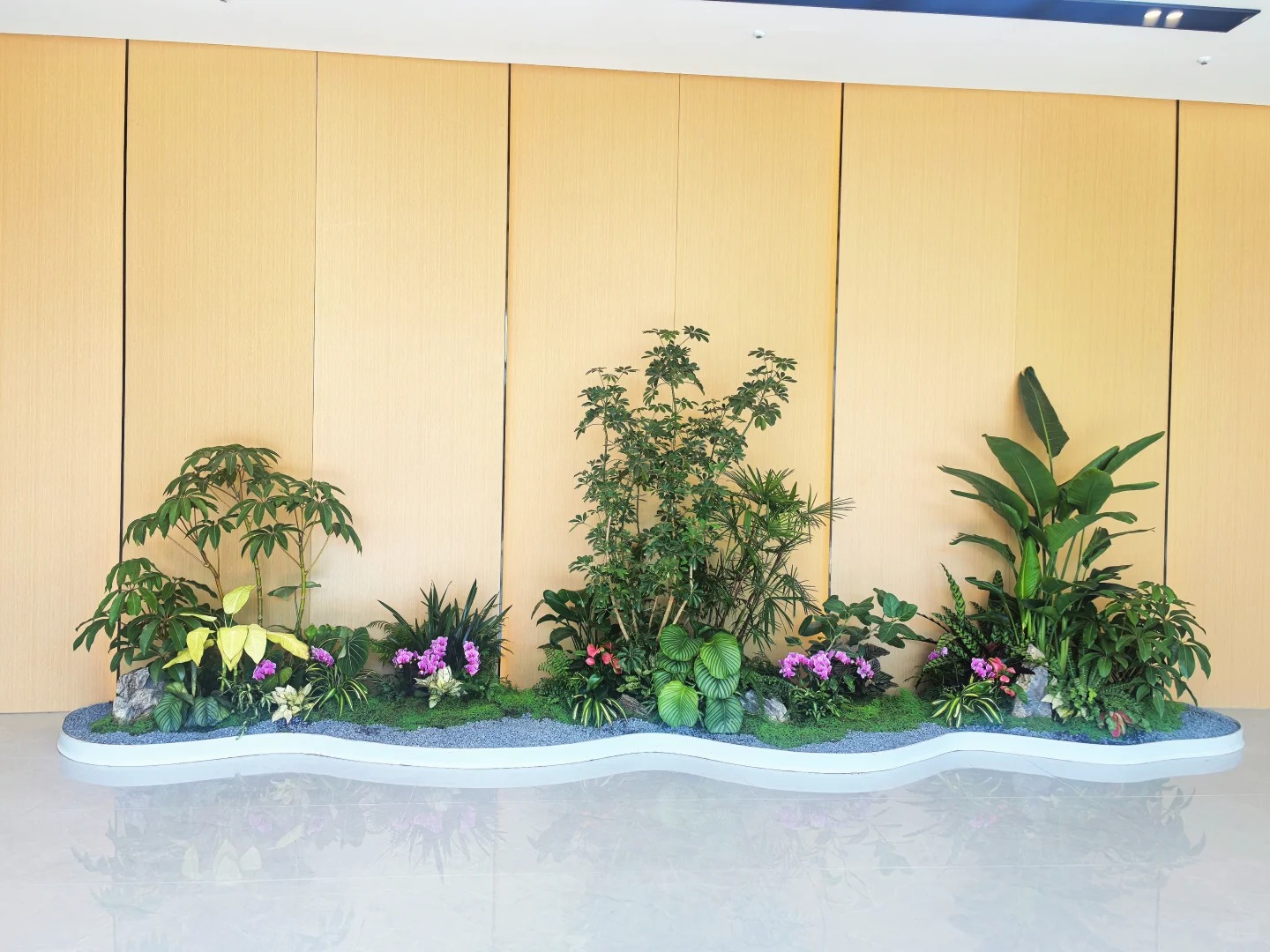 体验前湾花木租赁，优质服务让绿植焕发生机！